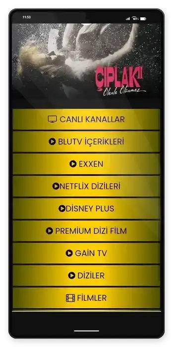 Netv Gold Dijital Platformlar Dizi & Film İçerikleri